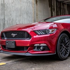 Meet your Posher, Cheyenne